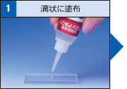 1 滴状に塗布