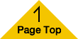 Page Top