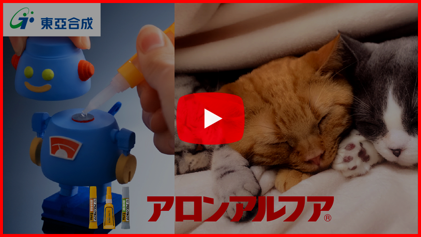 【WebCM】おもちゃ＆眠るネコ篇（15秒）