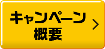 キャンペーン概要